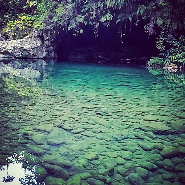 Bassin des Hirondelles: Un bassin du sud de La Réunion – dakour