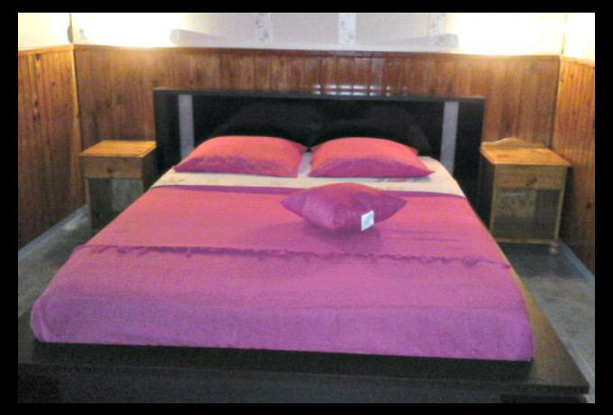 Photo Petite Fleur de Lentilles - Cilaos