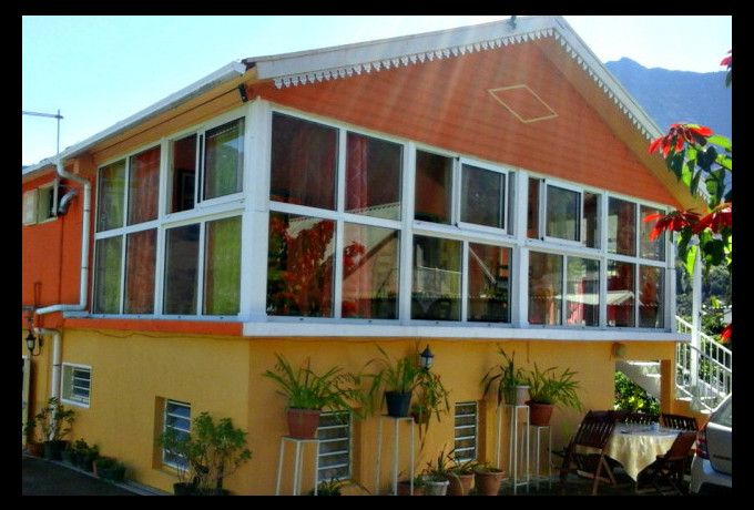 Petite Fleur de Lentilles - Cilaos