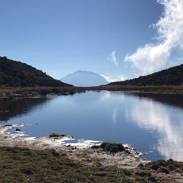 Photo Piton Argamasse: Une mare sur la route du volcan – dakour