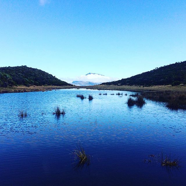 Photo Piton Argamasse: Une mare sur la route du volcan – dakour