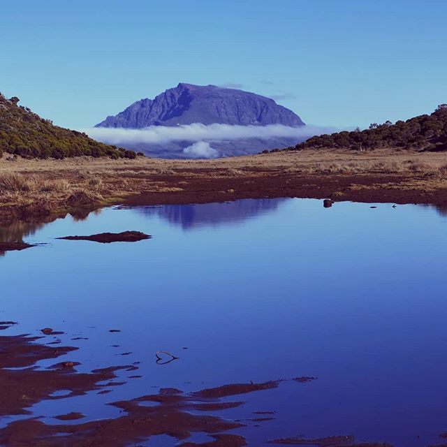 Piton Argamasse: Une mare sur la route du volcan – dakour