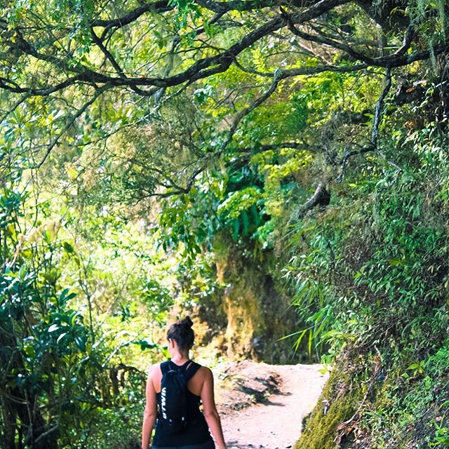 Anciens Thermes: Therme en plein milieu de La Réunion – Bras des Etangs