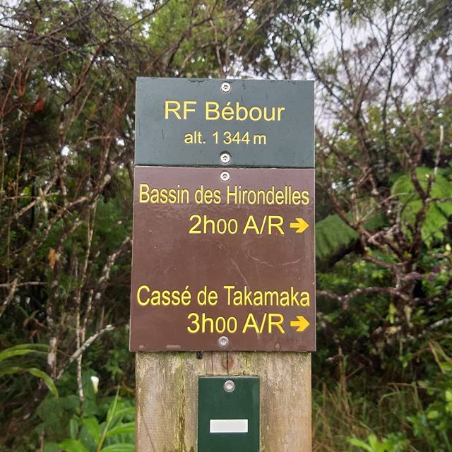Bassin des Hirondelles: Un site charmant à La Réunion – Bras Cabot