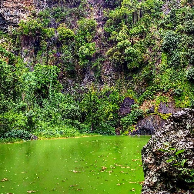 Bassin Vital - Quel loisir à La Réunion? - dakour