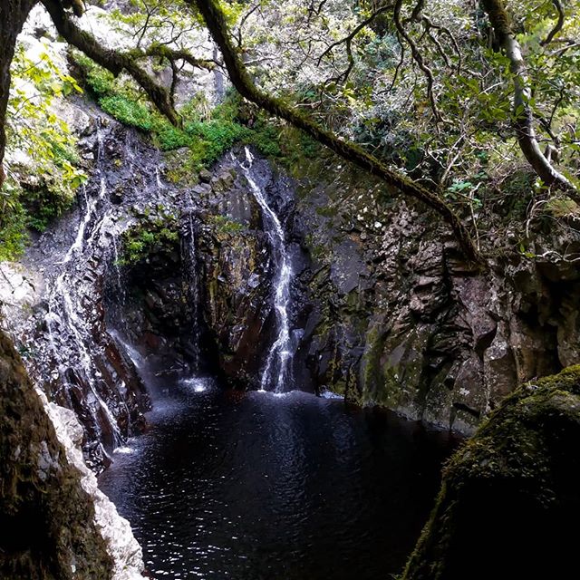 Bassins du Bras Noir: Un bassin très peu connue à La Réunion – Le Bras Noir