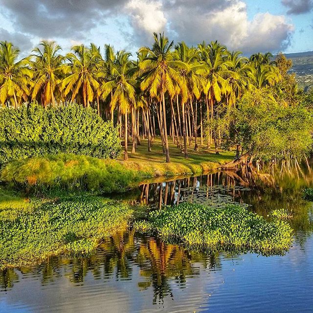 Photo Étang de St-Paul – Quel loisir dans l’Ouest de La Réunion? – dakour