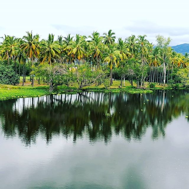 Photo Étang de St-Paul – Quel loisir dans l’Ouest de La Réunion? – dakour