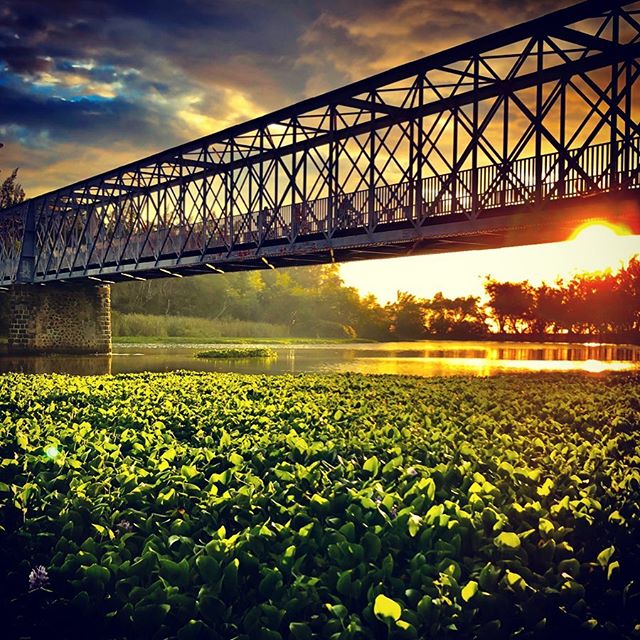 Étang de St-Paul – Quel loisir dans l’Ouest de La Réunion? – dakour