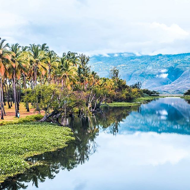 Photo Étang de St-Paul – Quel loisir dans l’Ouest de La Réunion? – dakour