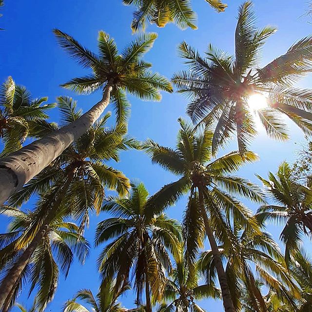 Photo Étang de St-Paul – Quel loisir dans l’Ouest de La Réunion? – dakour