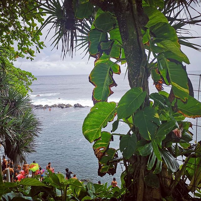 Photo Manapany: Une piscine naturel dans le sud de La Réunion – dakour