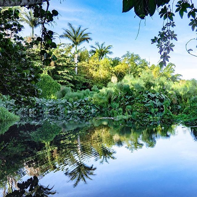 Photo Tour des Roches – Que faire dans l’ouest de La Réunion? – dakour