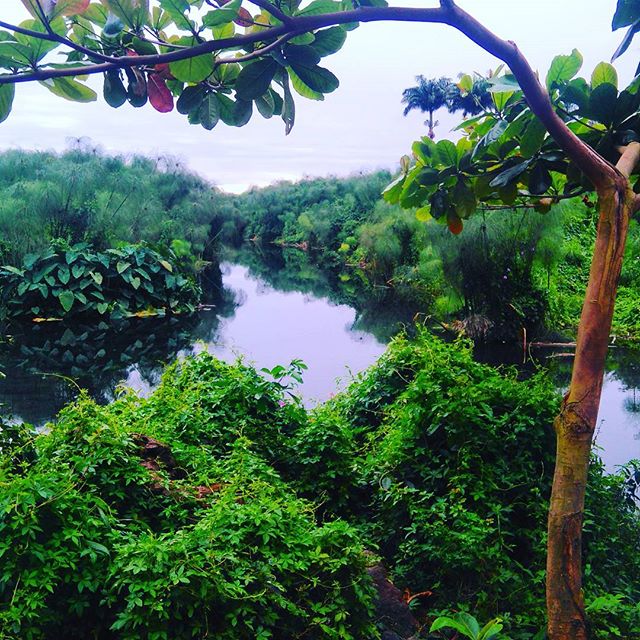 Photo Tour des Roches – Que faire dans l’ouest de La Réunion? – dakour
