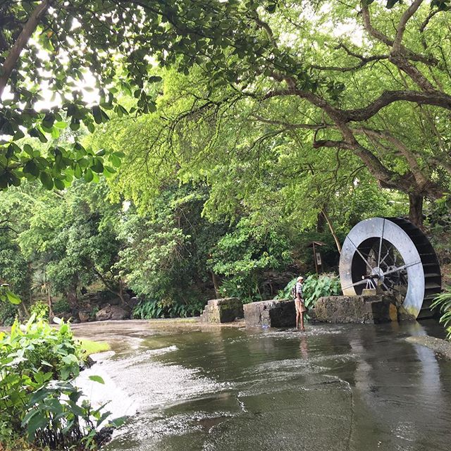 Photo Tour des Roches – Que faire dans l’ouest de La Réunion? – dakour