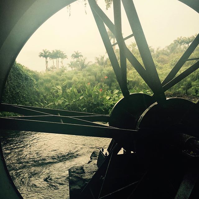 Tour des Roches – Que faire dans l’ouest de La Réunion? – dakour