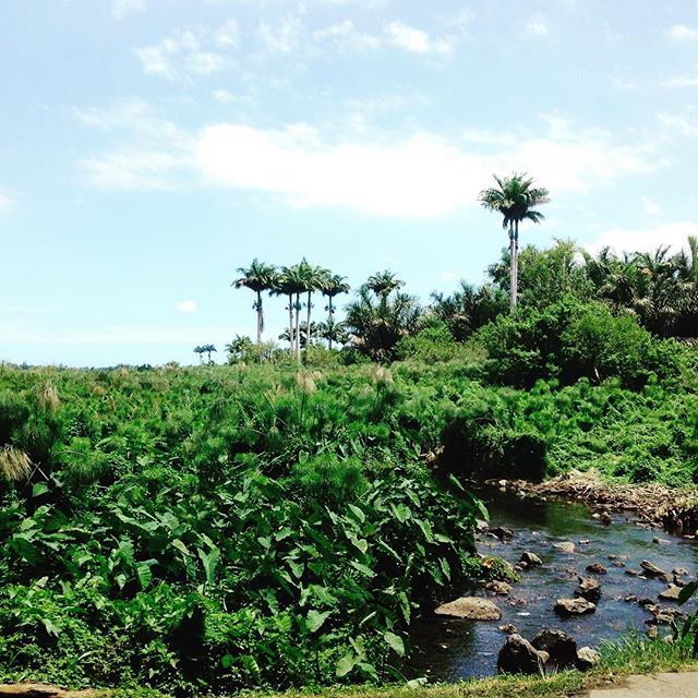 Photo Tour des Roches – Que faire dans l’ouest de La Réunion? – dakour