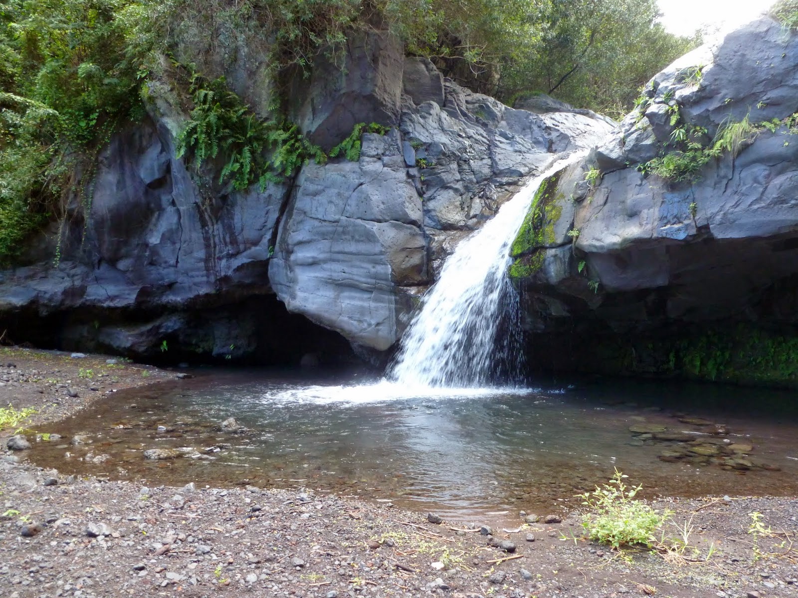 Source Francis: Une cascade et des pailles-en-queues – dakour