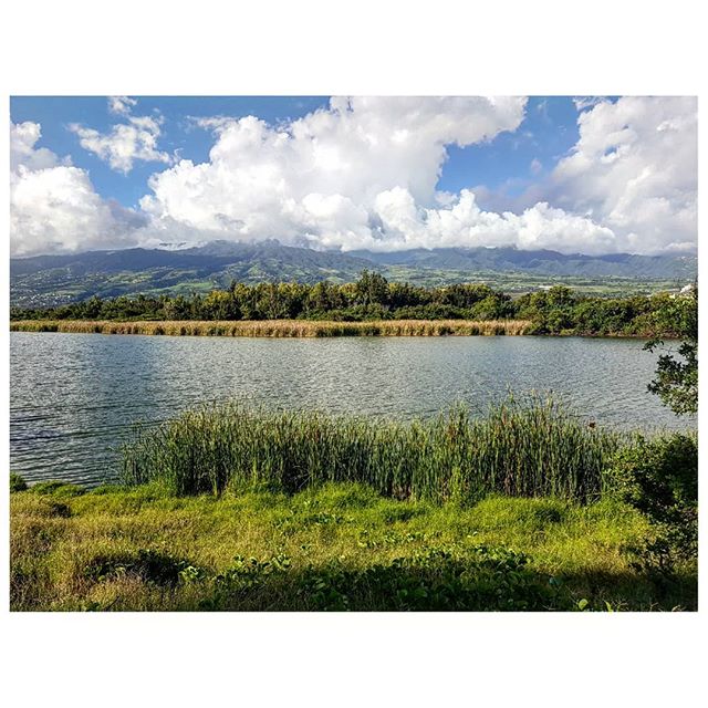 Étang du Gol: Une balade familiale à La Réunion – dakour