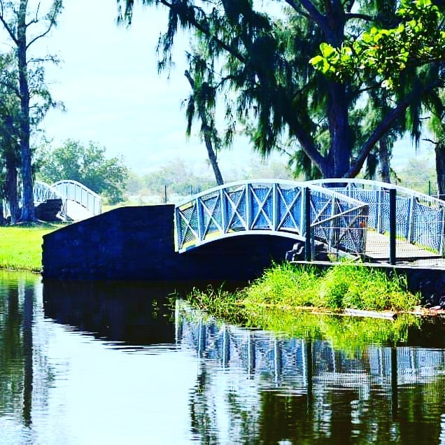 Photo Étang du Gol: Une balade familiale à La Réunion – dakour