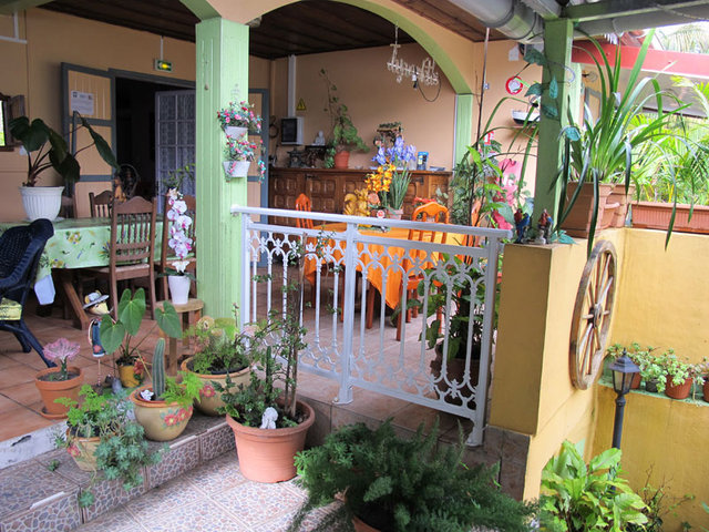 Photo Orchidée Rose (L’)