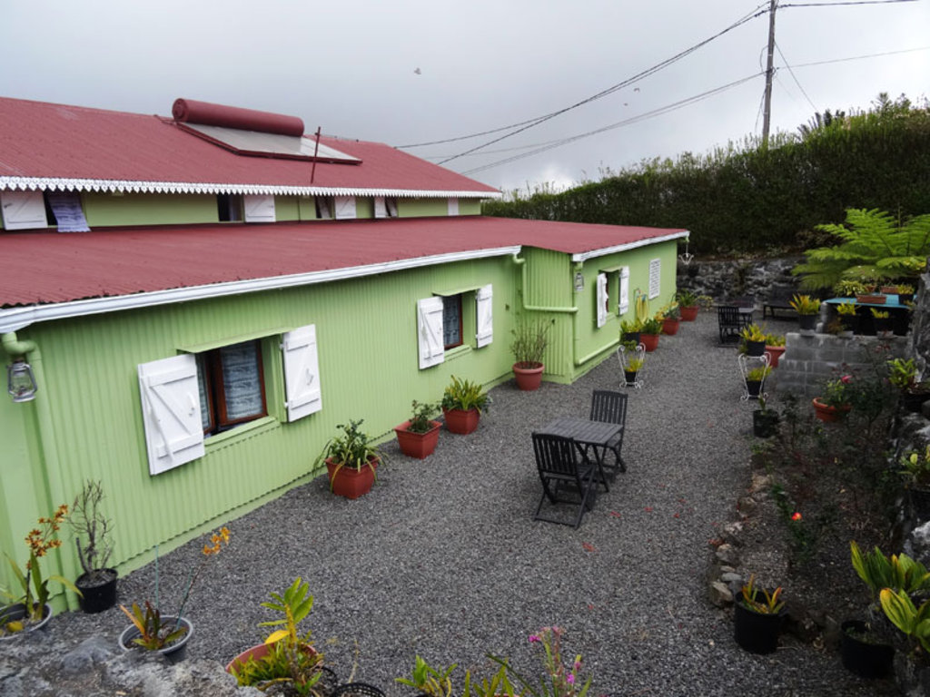 Photo Grévilleas (Les)