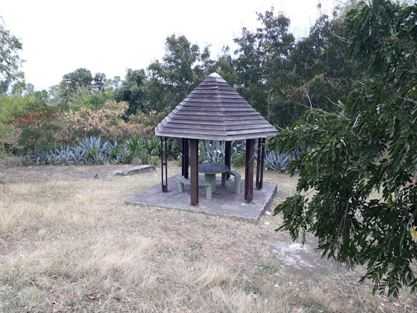 Photo Tamarin velour – Aire de pique-nique