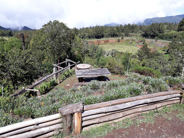 Photo Forêt des Makes – Aire de pique-nique