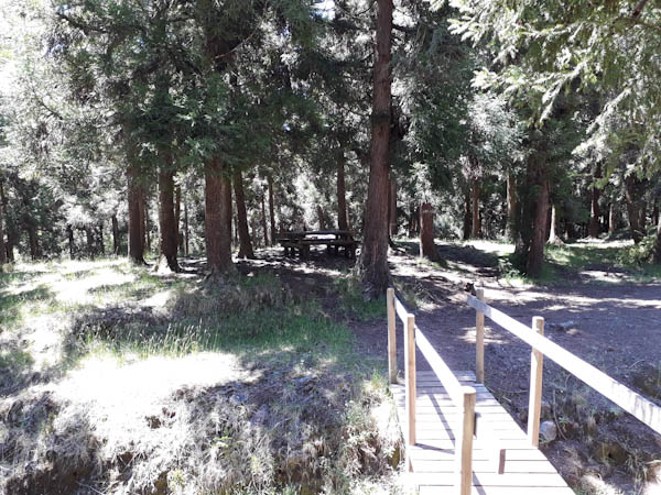 Photo Piton Sec   –   Route forestière Piton Guichard – Aire de pique-nique