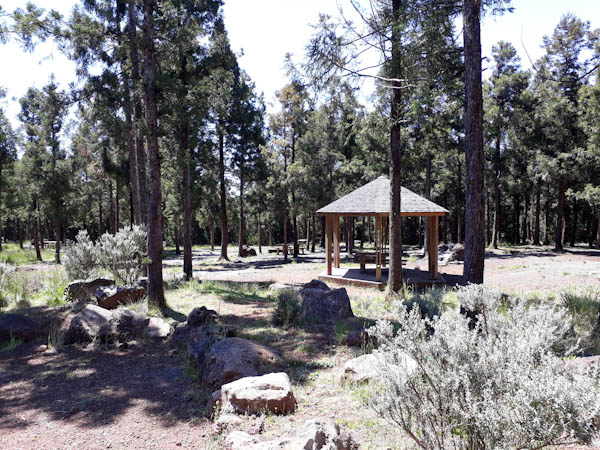 Photo Forêt de Grande Ferme sur Route forestière Volcan – Aire de pique-nique