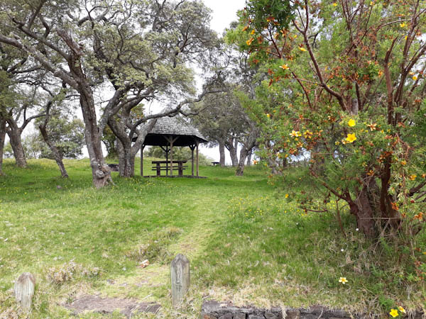 Photo Nez de Bœuf   –   Route forestière Volcan – Aire de pique-nique