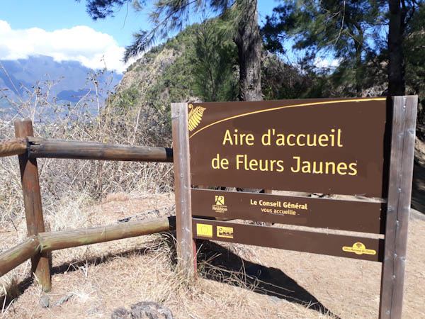 Photo Aire d’accueil de Fleurs Jaunes – Aire de pique-nique