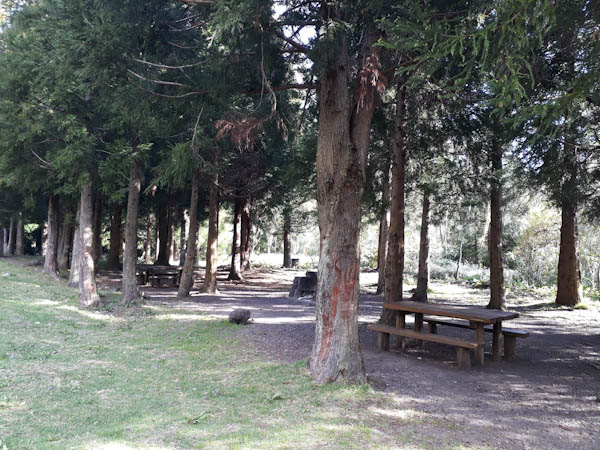 Photo Aire d’accueil de la Mare à Joseph – Aire de pique-nique