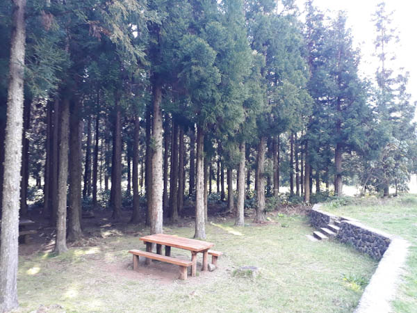 Photo Mare à Joseph   –   centre – Aire de pique-nique