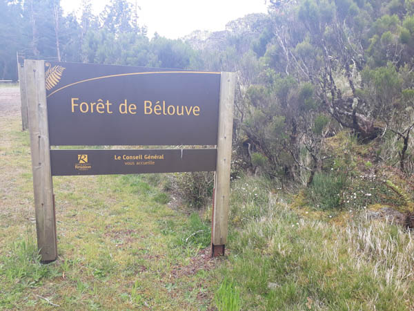 Photo Bélouve – Aire de pique-nique