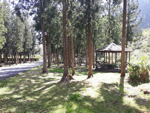 Photo Hell Bourg   –   Départ du sentier vers Bélouve – Aire de pique-nique