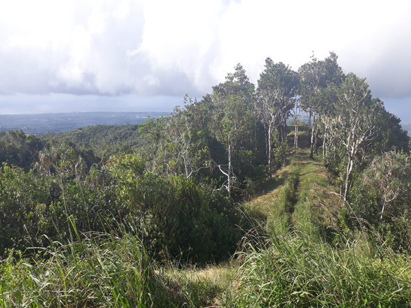 Photo Route forestière de l’Eden – Aire de pique-nique