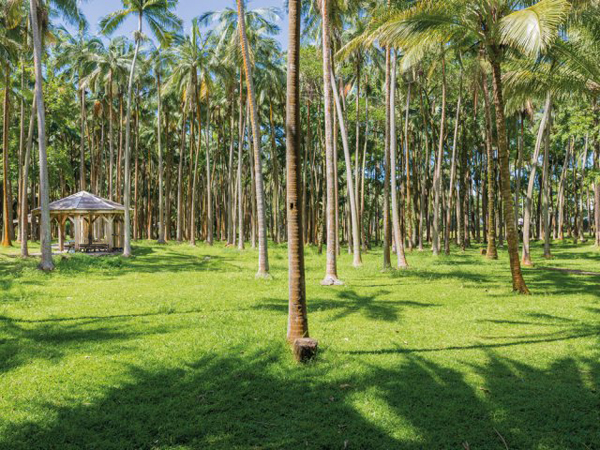 Photo Bois Blanc – Aire de pique-nique
