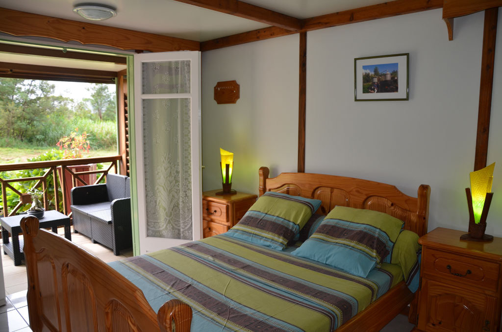 Photo Eucalyptus (L’)