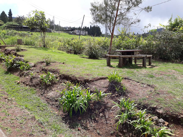 Photo Aire d’accueil de la pépinière – Aire de pique-nique