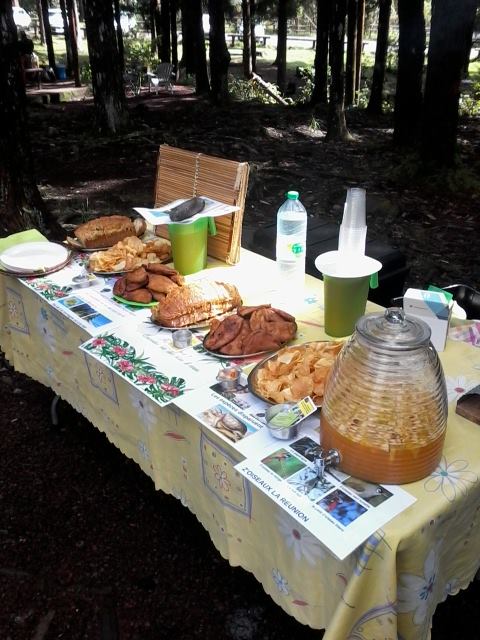 Photo Anime pique nique