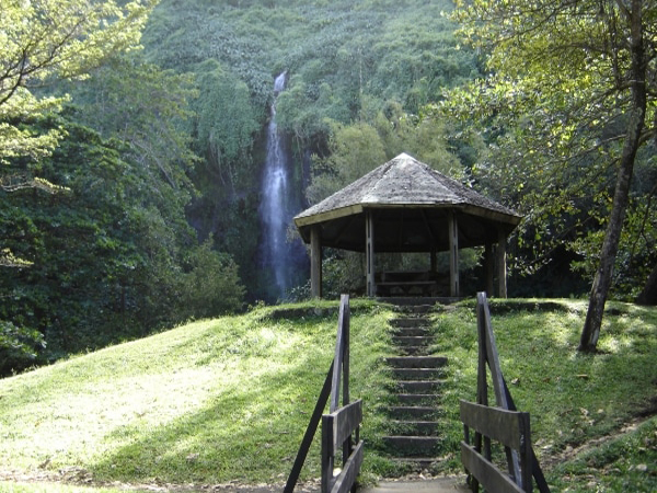 Anse des Cascades – Aire de pique-nique