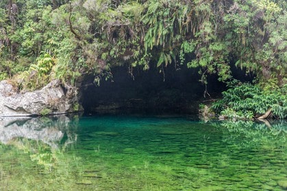 Bassin des Hirondelles