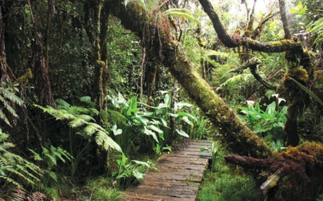 Photo La boucle de Bras Cabot