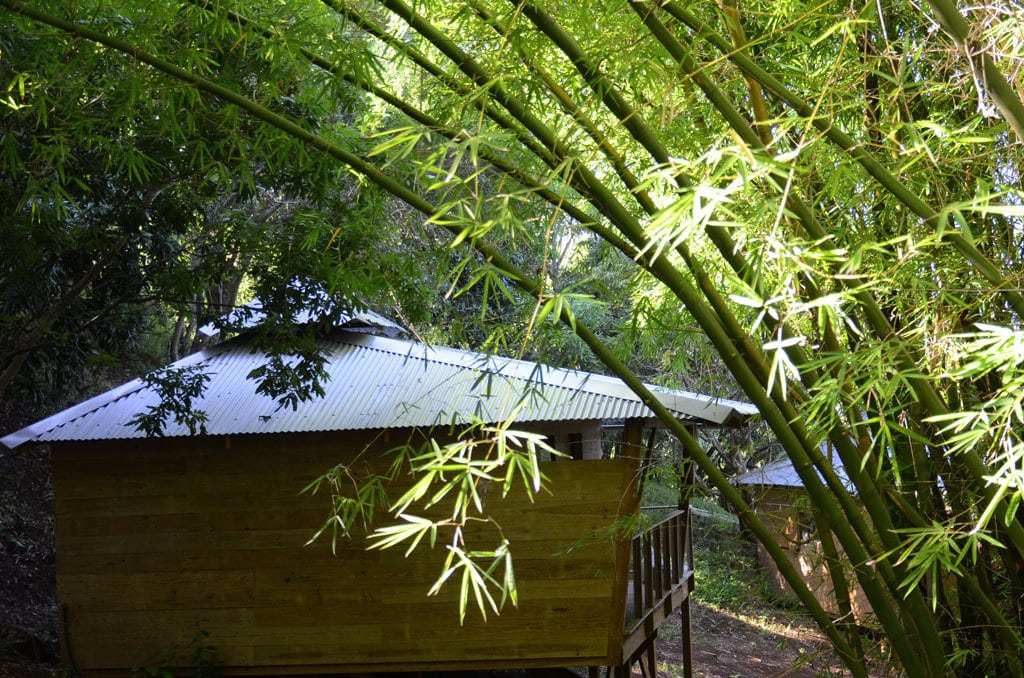 Cabanes sur une Ile (Des)