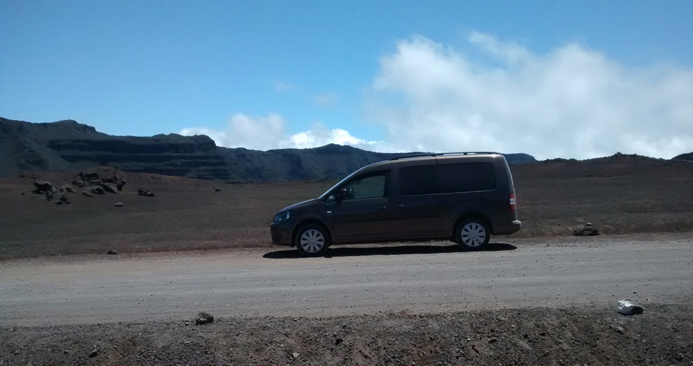 Photo Odonata Transport