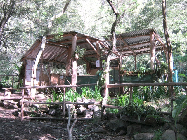 Camping Îlet des Salazes