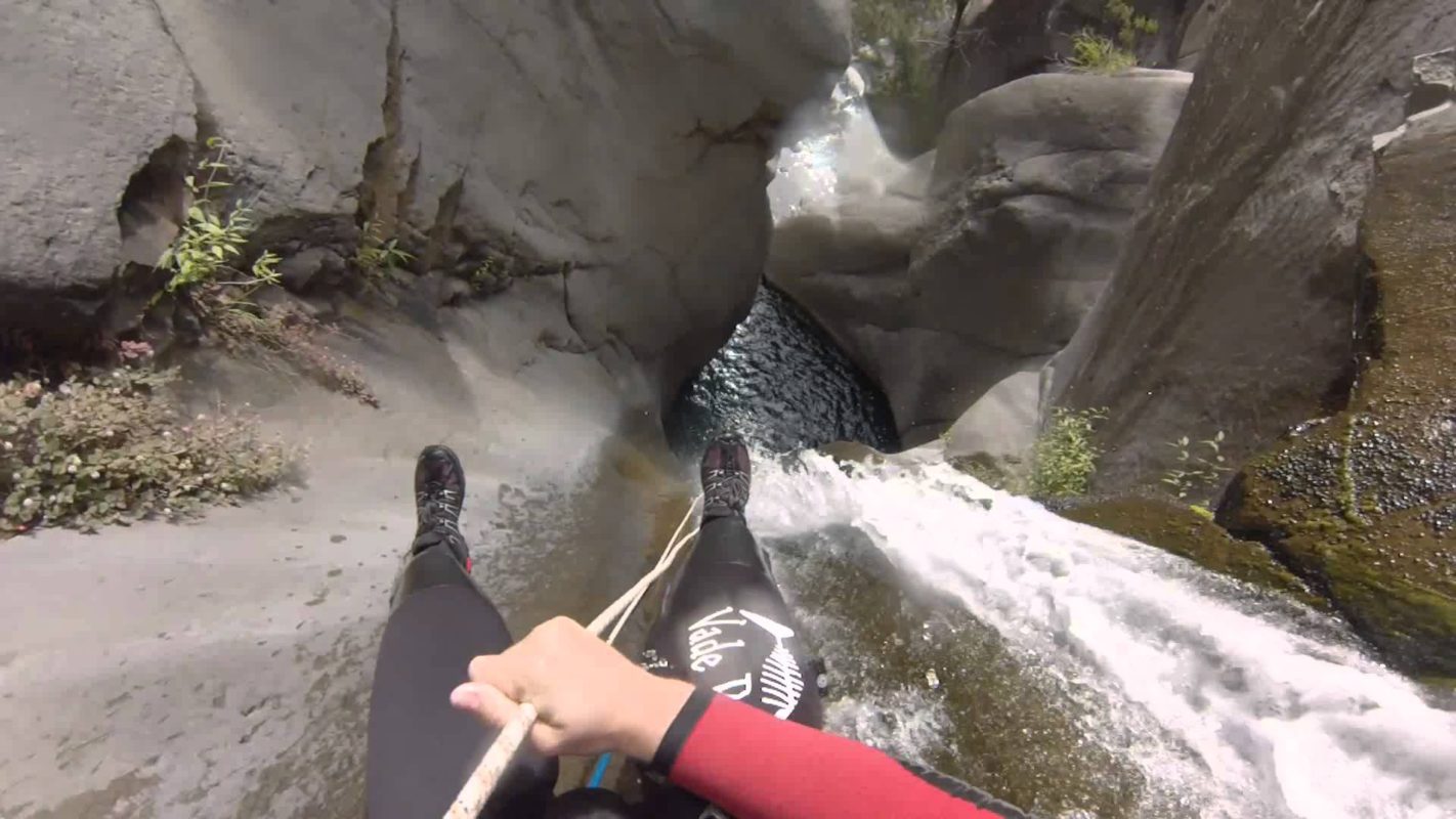 Photo Canyon Fleur Jaune