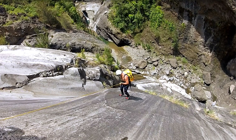 Photo Canyon Fleur Jaune (intégrale)