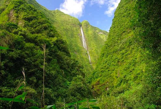 Sentier de Cascade Blanche